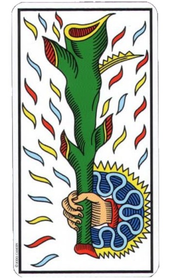 L'As de Bâtons dans le Tarot de Marseille