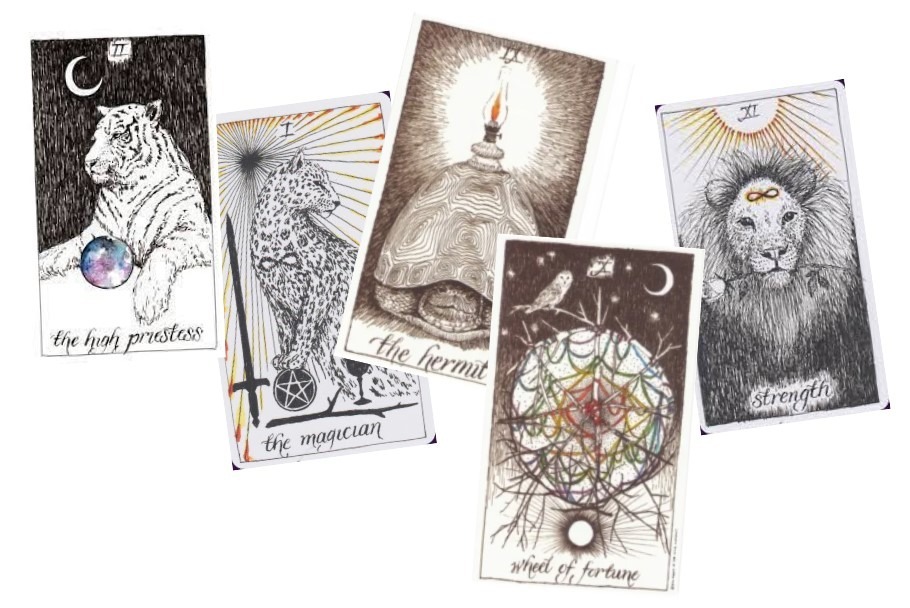 wild-unknown-tarot Le Tarot Wild Unknown