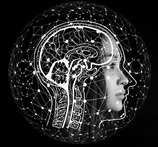 cerveau-developpement-personnel Le cerveau : la clé de notre développement personnel