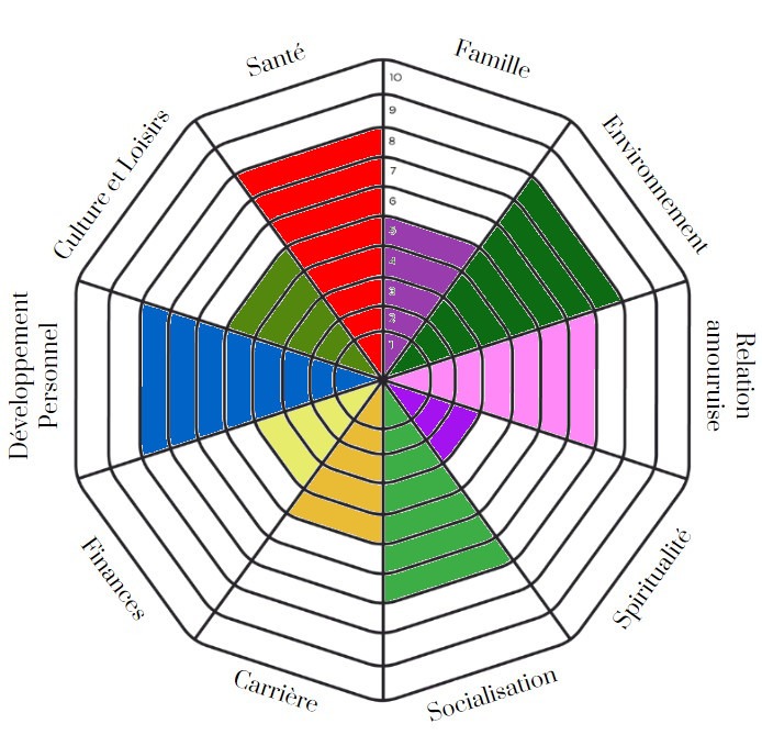 exemple-roue-de-la-vie Exemple de roue remplie