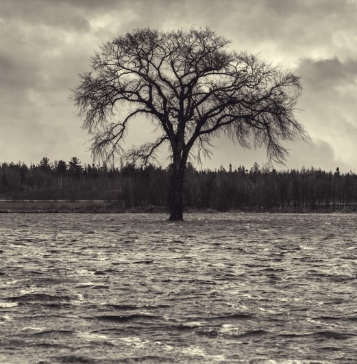 40-deluge 40 jours du deluge