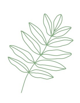 minimalisme-nature Le minimalisme et la connexion avec la nature