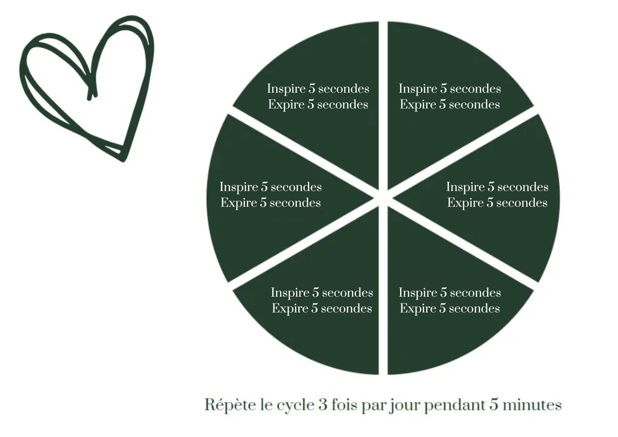 respiration-coherence-cardiaque Exercice de respiration cohérence cardique
